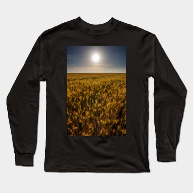 Wheat field at sunset, sun in the frame Long Sleeve T-Shirt by naturalis